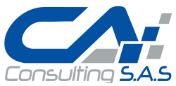 CA CONSULTING SAS
